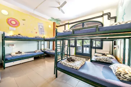 Island Hostel Budapest