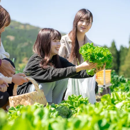 Bunkou Stay Haruhi