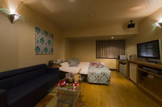 里斯泰鶴島 - 限成人 鶴島市酒店