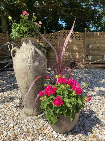 Toppesfield House B&B