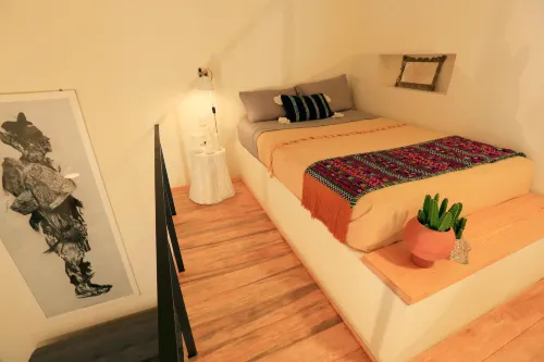 Casa Morelos by Barrio Mexico - صديق للحيوانات الاليفة