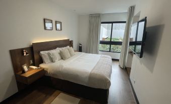 Executive Apartment 1Bedroom San Isidro