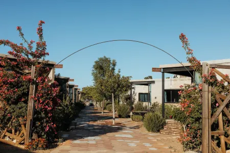 Hotel Los Amantes Valle de Guadalupe
