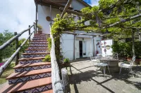 Agriturismo Fattoria Terranova