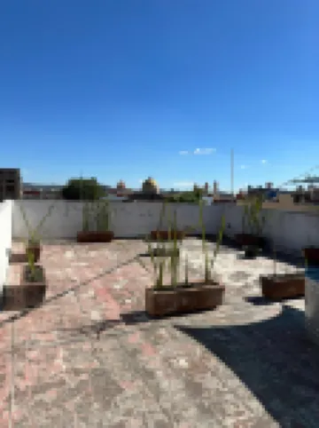 Choco Hostel Hotel a 