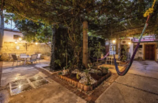 Las Mariposas Hotel & Studios