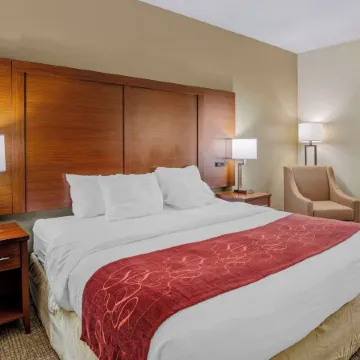 Comfort Suites at Virginia Center Commons