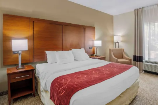 Comfort Suites at Virginia Center Commons Hotels in Henrico County