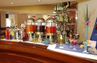 Gran Hotel Costa del Sol - bar