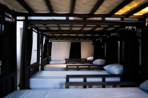 Bad Monkey Hostel