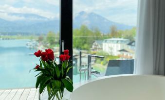 Scalaria Sunset Wing