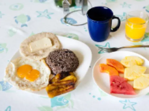 Casa Cedro - Portasol Vacation Rentals Hotels in Savegre