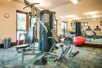 Wine & Roses Hotel Restaurant Spa Lodi - Fitnessstudio