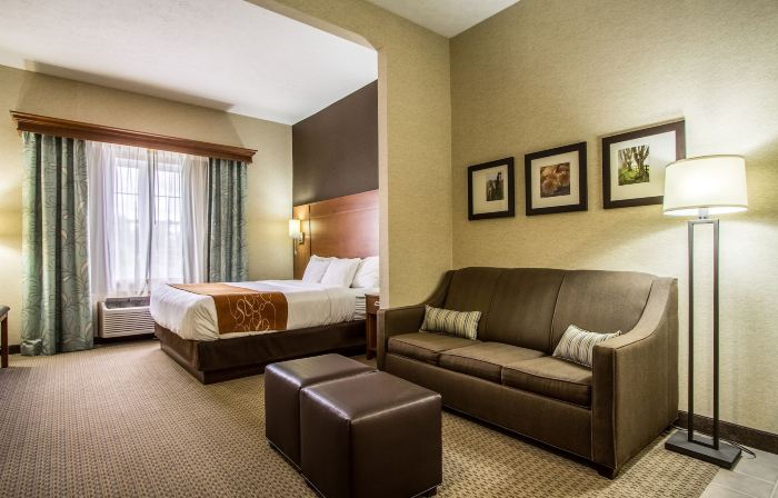 Comfort Suites Hotel and Conference Center