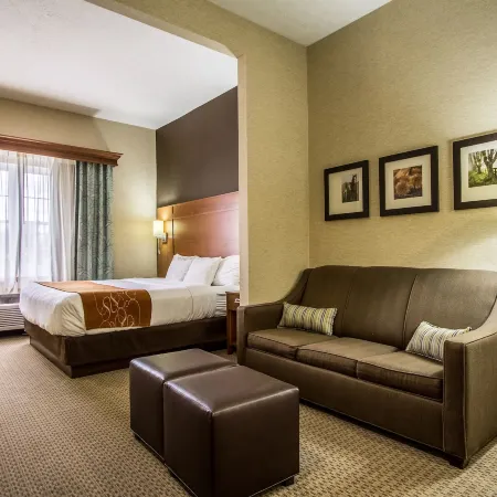 Comfort Suites Hotel and Conference Center