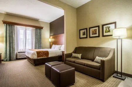 Comfort Suites Hotel and Conference Center Отели в г. Walnut Creek