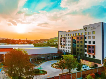 Galeria Plaza Irapuato Отели в г. Ирапуато