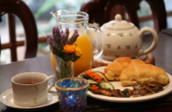 薰衣草之家床和早餐酒店