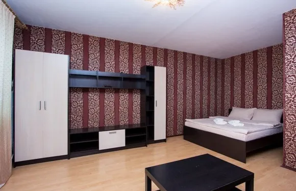 巴布什金站光之公寓酒店