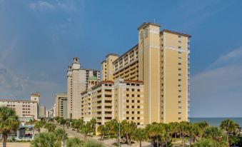 Camelot by the Sea by Hosteeva