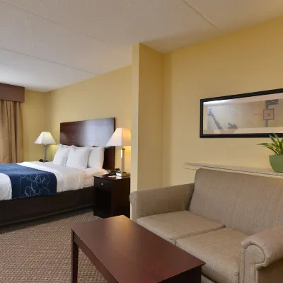 Comfort Suites Near Gettysburg Battlefield Visitor Center Hotels near Gettysburg College