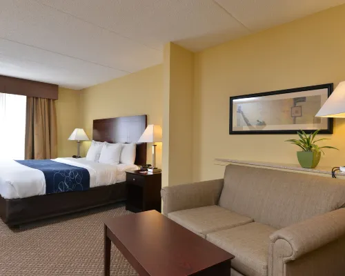 Comfort Suites Near Gettysburg Battlefield Visitor Center Hotels near Rupp House