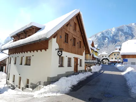 Hotel Vandot Отели в г. Jesenice