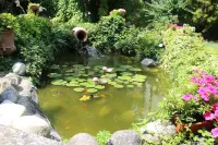 B&B Villa Ines