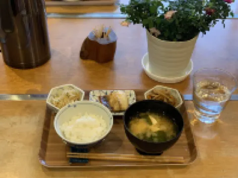 Yakushima Minsyuku Suginoko