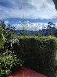 Andrews Hostel