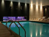 Barradas Parque Hotel & Spa - Pools