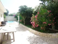 Villa Dafne - Rooftop Pools