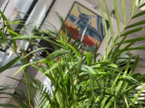 Hotel Vieille Tour Centre Rouen Hotels in Rouen