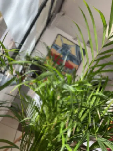 Hotel Vieille Tour Centre Rouen