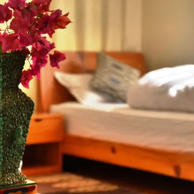 Shakya House Hotels near Patan