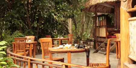 The Barefoot at Havelock