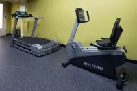 Holiday Inn & Suites WARREN by IHG - Gym