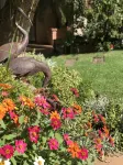Claires of Sandton Luxury Guest House - Pensions