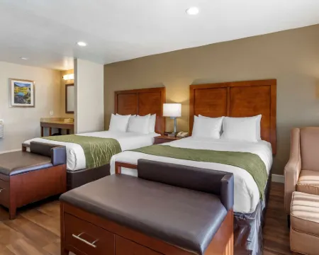 Comfort Inn Bishop Hotels in Bishop