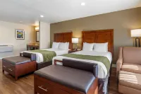 컴포트 인 비숍 인요 셸 Y 마트 주변 호텔