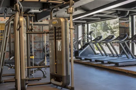 Enki Royal Cesme Hotel Отели в г. Ildir Mahallesi