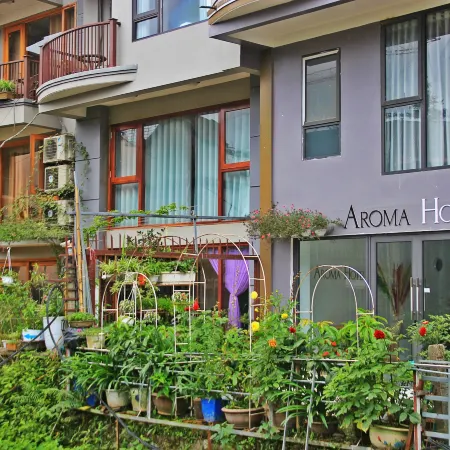 Sapa Aroma Hotel