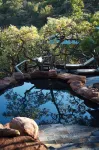 Makweti Safari Lodge - 5 Yıldız