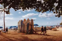 Royal Grove Waikiki - Bãi biển
