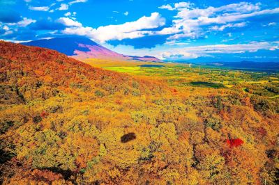 ホテル周辺 雫石プリンスホテルの写真