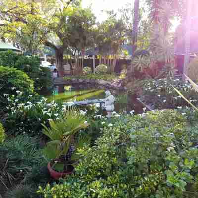 Eskulaap Hotel and Conference Hotel Exterior