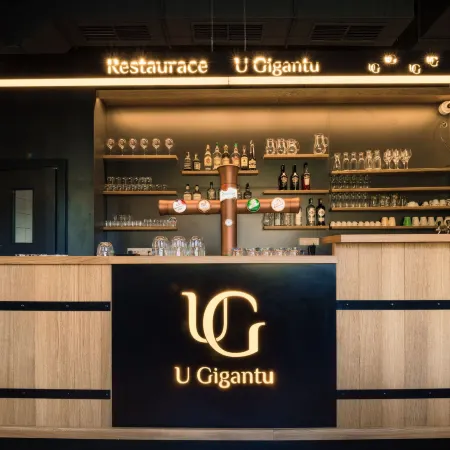 Wellness Penzion U Gigantu
