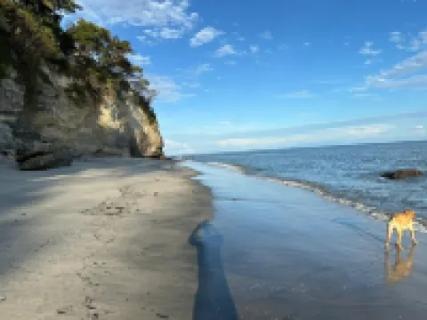民宿卡薩自然海灘科羅納