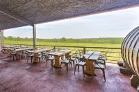 Kiepersol Bed and Breakfast Hotels in Tyler