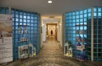 Brown Dead Sea - spa